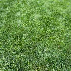 Tag your turf