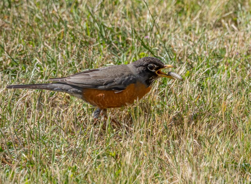 20250610-SJI-453-Edit.jpg 20250610-SJI-453-Edit.jpg