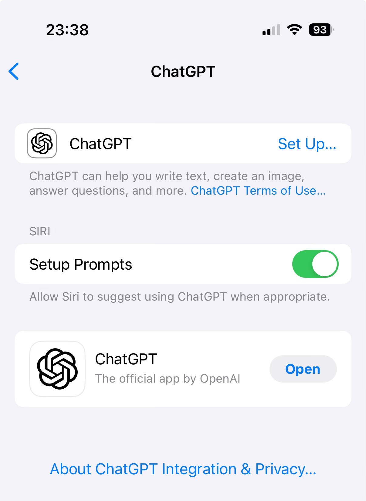Setting up ChatGPT