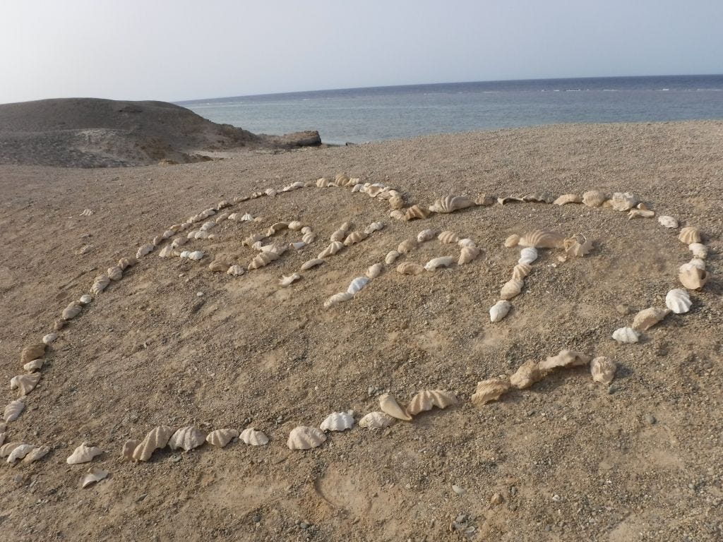 On the shore of the Red Sea in Egypt