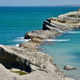 Terri Huxley | West of the Fourth Energetics & Blog