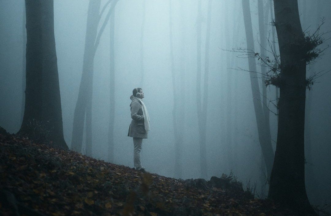 person in white jacket standing on brown dried leaves during daytime