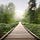 The Gentle Path Collective