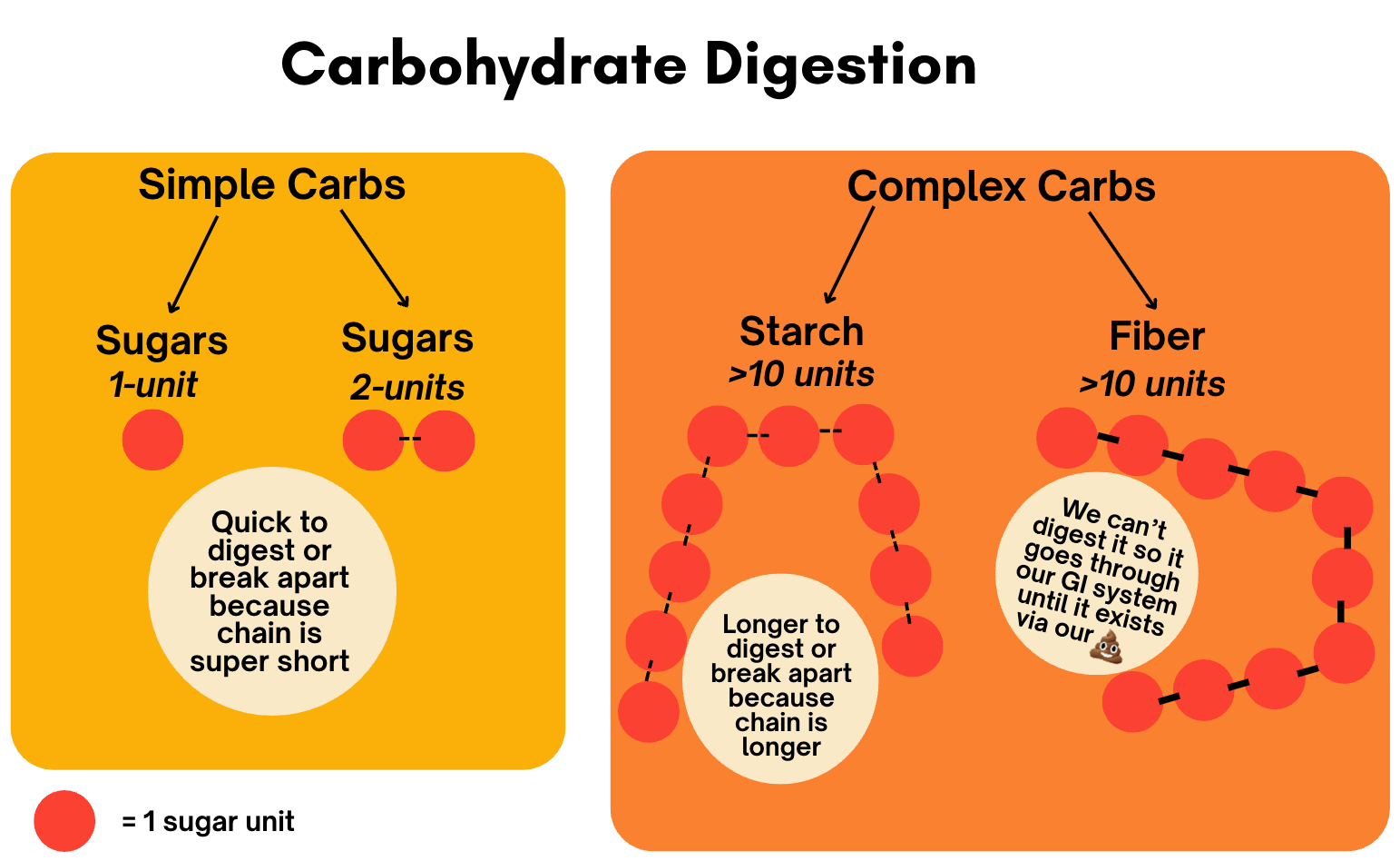 What Is Resistant Starch? Benefits, Food Sources, and How to Add It to ...