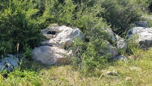 Polaris Solutions shows how their Kit 300 camouflage sheet 
