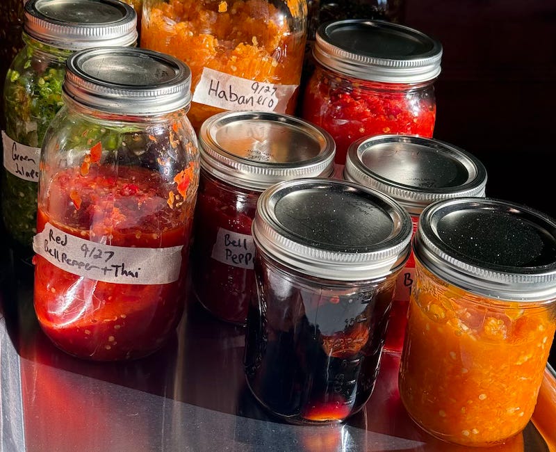 Time to Make a Pepper Mash - hot or not