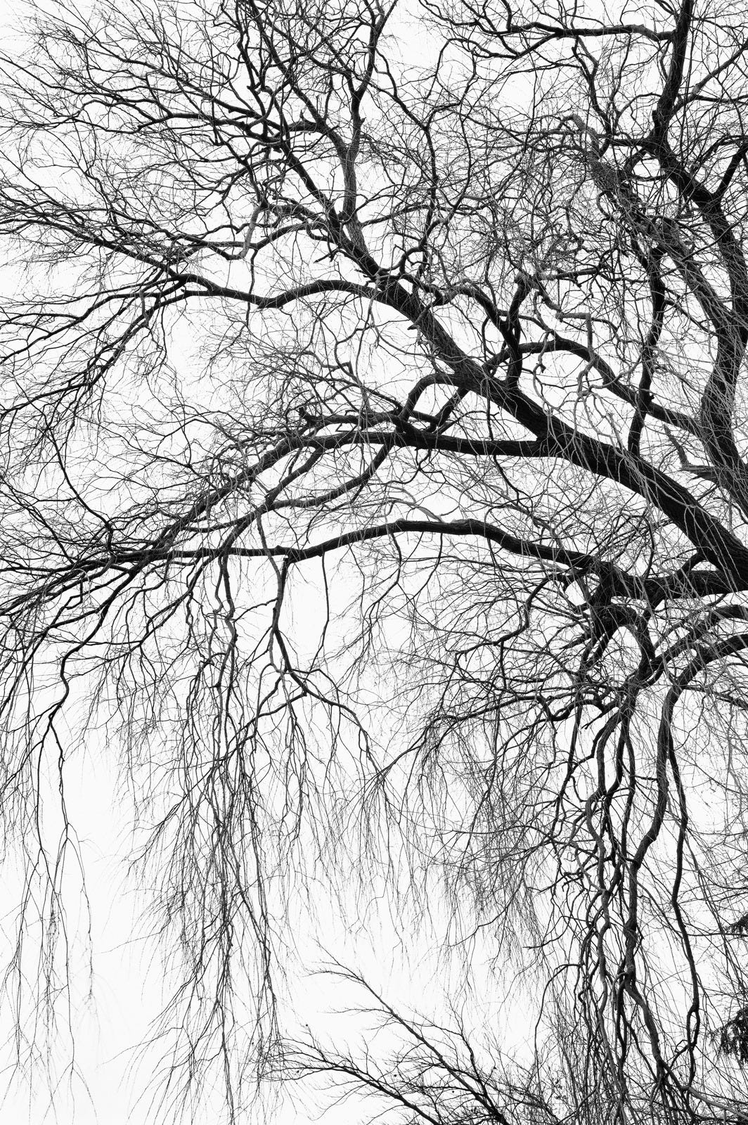 arsvitaest:
“DaeSoo Kim
”