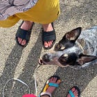 Is it ever okay for a pet dog to bite?