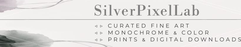 SilverPixelLab Journal