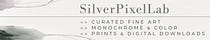 SilverPixelLab Journal