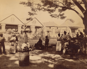Exploring the Rich Tapestry: The Origin and Evolution of Jamaica Homes