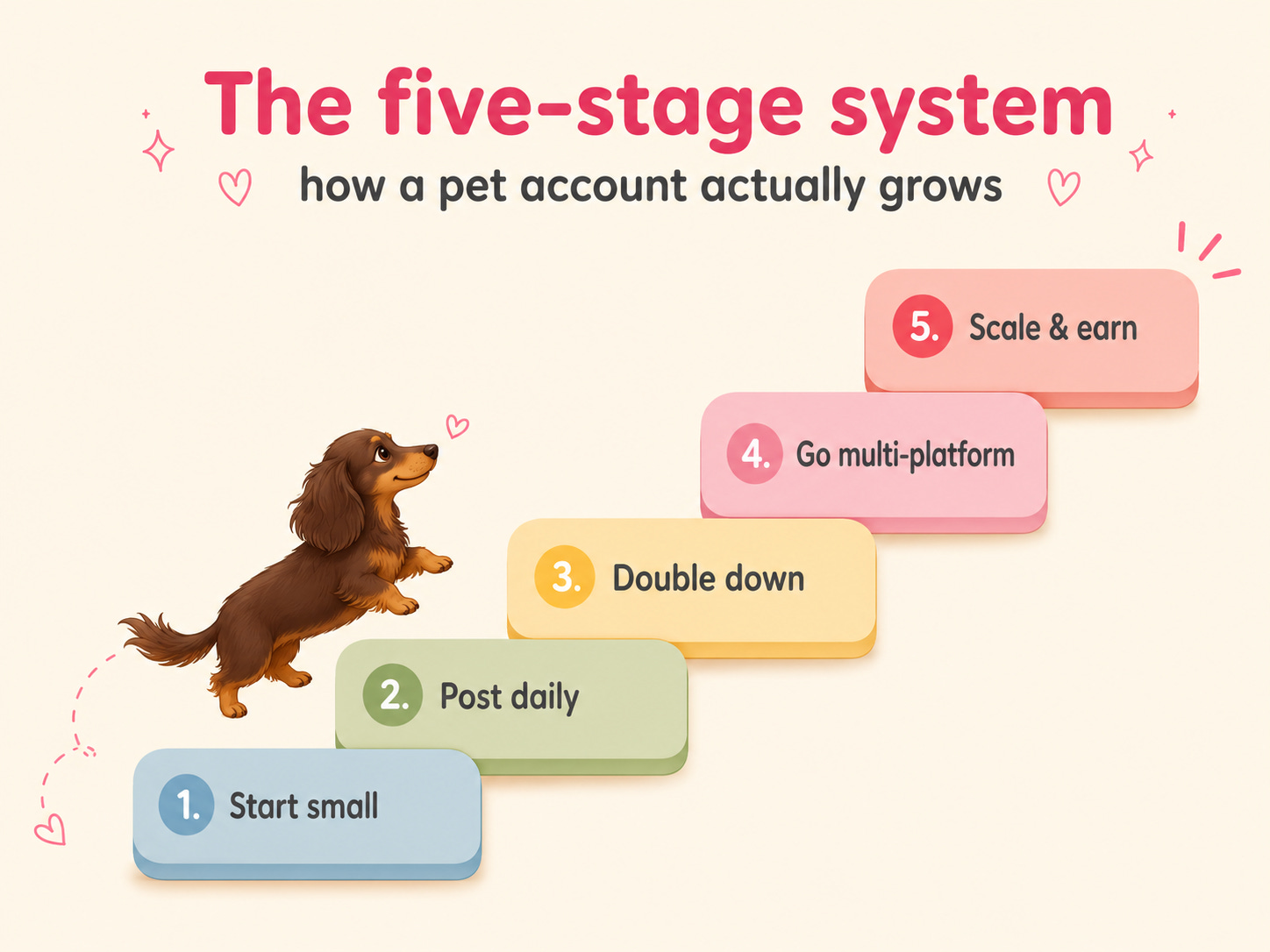 The five-stage system for growing a pet account, shown as a rising staircase: 1. start small, 2. post daily, 3. double down, 4. go multi-platform, 5. scale and earn. The five-stage system for growing a pet account, shown as a rising staircase: 1. start small, 2. post daily, 3. double down, 4. go multi-platform, 5. scale and earn.