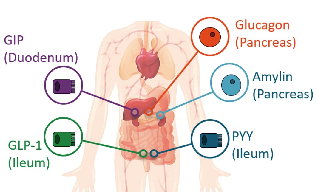 does the glp 1 liquid work GLP-1 for Weight Loss and Diabetes
