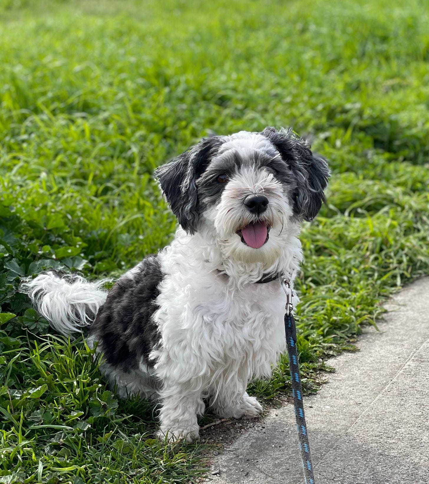 What really matters in life