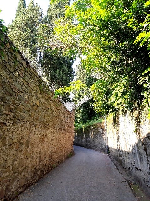 da Via Boccaccio verso Fiesole - come in un labirinto