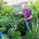 Vertical Veg: Container Gardening by Mark Ridsdill Smith