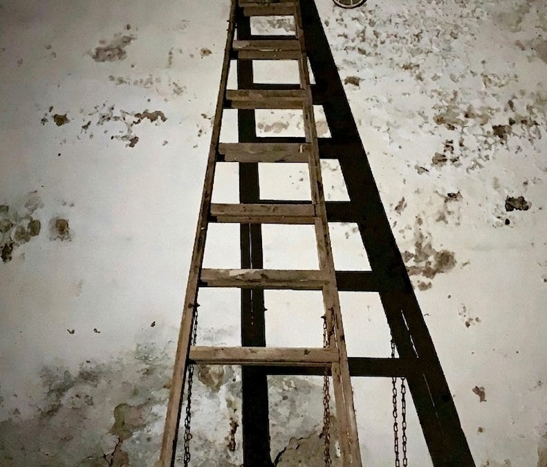We told them to climb. Then we removed the rungs.