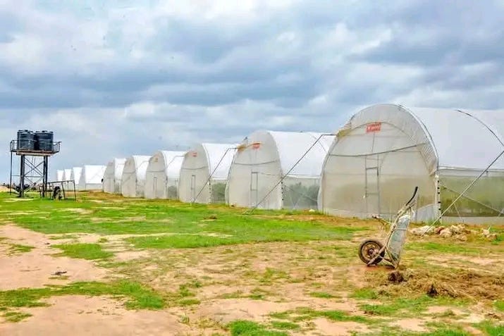 TriplePundit • This Nigerian Lab is Farming Without Soil to ...