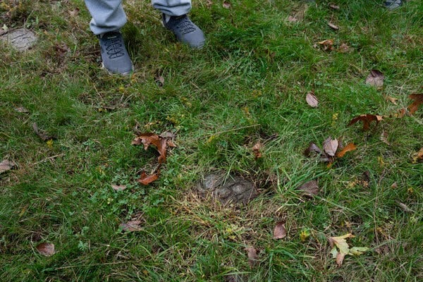 A concrete marker with grass growing all around and partly over it.
