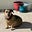 Bunny Bunks's avatar