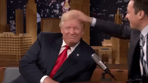 Donald-trump-hair GIFs - Get the best GIF on GIPHY