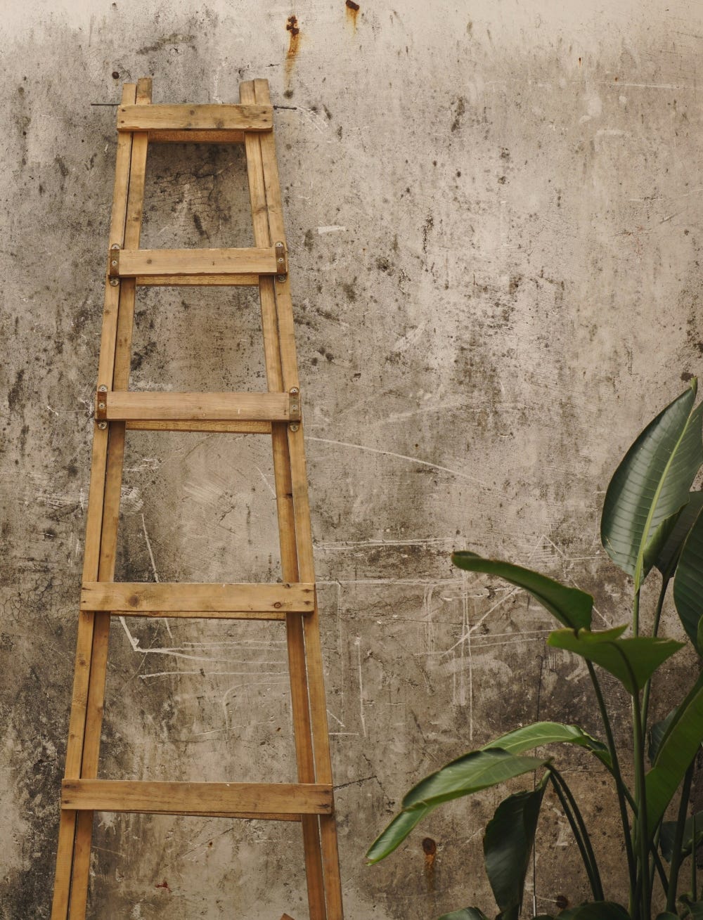 A crude wooden ladder leaning against an old wall