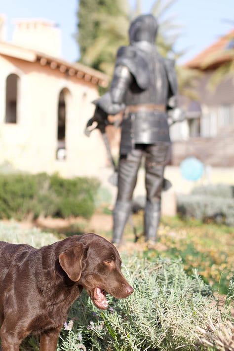 People and hounds at Supertone Studio, Spain