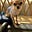 Love chihuahuas's avatar