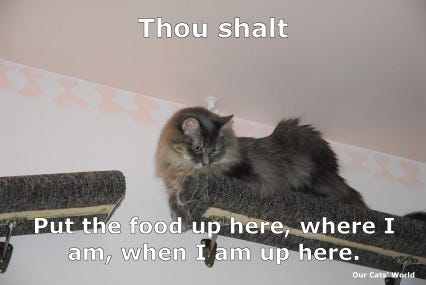 Kali Shelf Overseeing (lol) Kali Shelf Overseeing (lol)