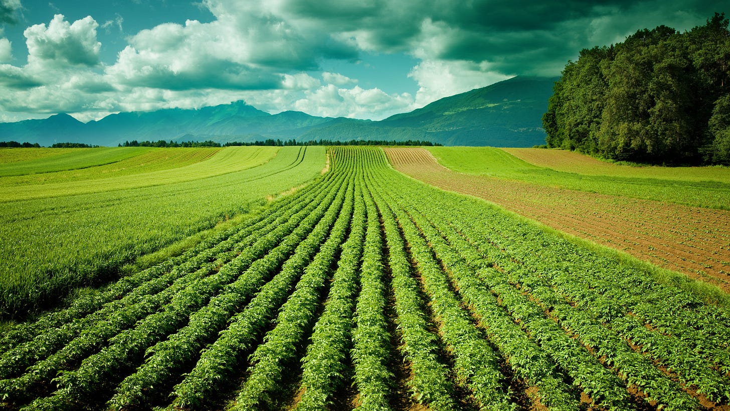 Business Intelligence in AgriFood Supply Chain