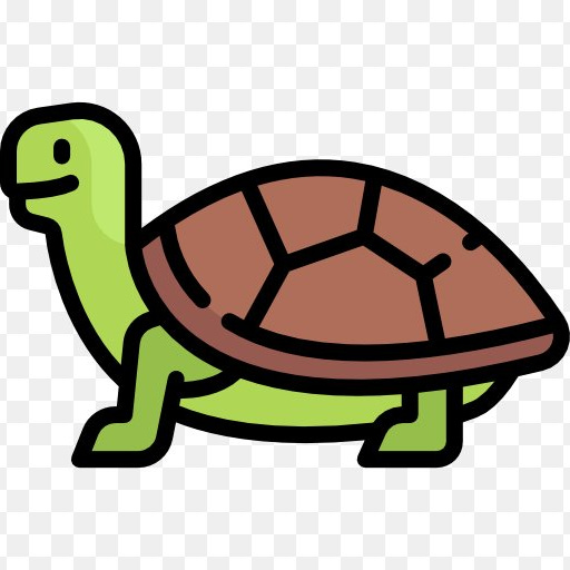 Substack profile picture for @tortoise