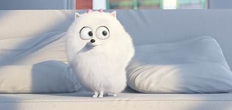 The Secret Life of Pets (2016) - Jenny Slate as Gidget - IMDb The Secret Life of Pets (2016) - Jenny Slate as Gidget - IMDb