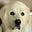 Joanofbark's avatar