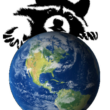 Tales of the Lone Raccoon