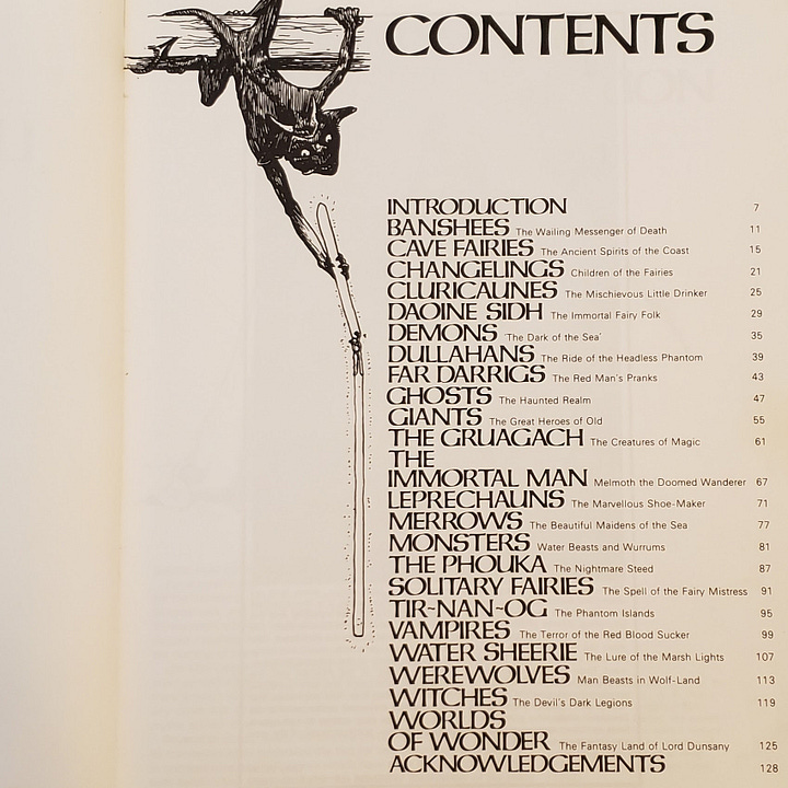 Photos of cover and table of contents of The Leprechaun's Kingdom.