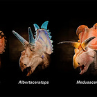 Relevante — episodio 168 🔋🦖🛰️🎨