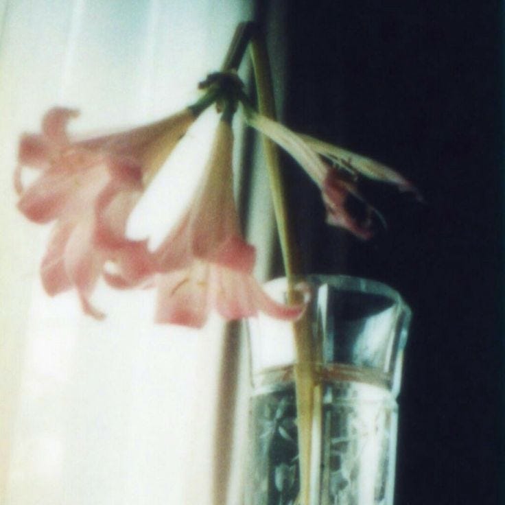 This may contain: a flower in a vase on a window sill next to a glass filled with water