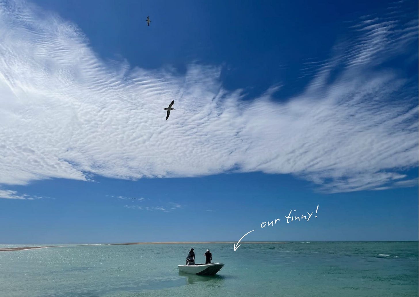 aluminium tender Lacepedes, Western Australia