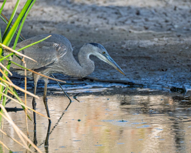 20251103-ElRio-147-Edit.jpg 20251103-ElRio-147-Edit.jpg