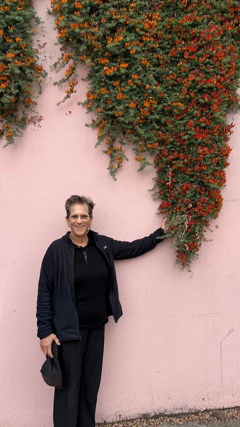 phenomenal blooms in San Francisco