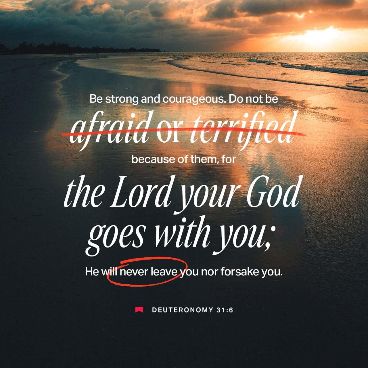 Deuteronomy 31:6 - Be strong and courageous. Do not be afraid or terrified because of them, for the LORD your God goes with you; he will never leave you nor forsake you.” Deuteronomy 31:6 - Be strong and courageous. Do not be afraid or terrified because of them, for the LORD your God goes with you; he will never leave you nor forsake you.”