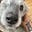 Skarlett Starr's avatar