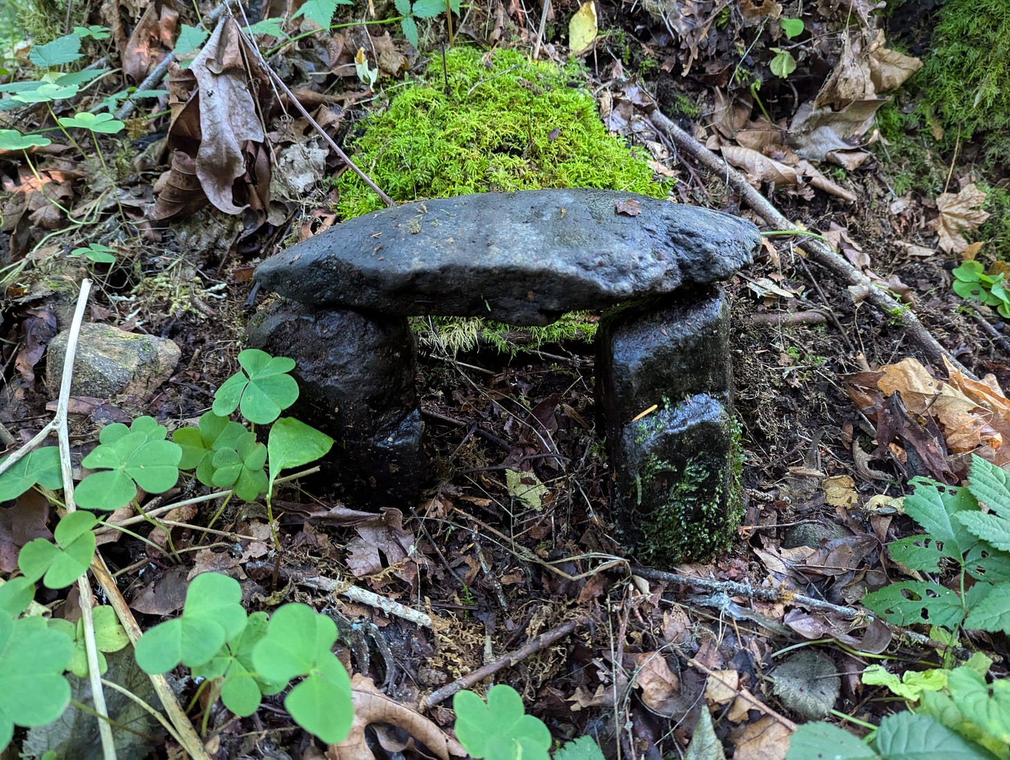 A few small black stones assembled into a little hut at the base of a tree, surrounded by sorrel