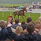 Making Waves: A 43-Point Surge in Just 5 Days