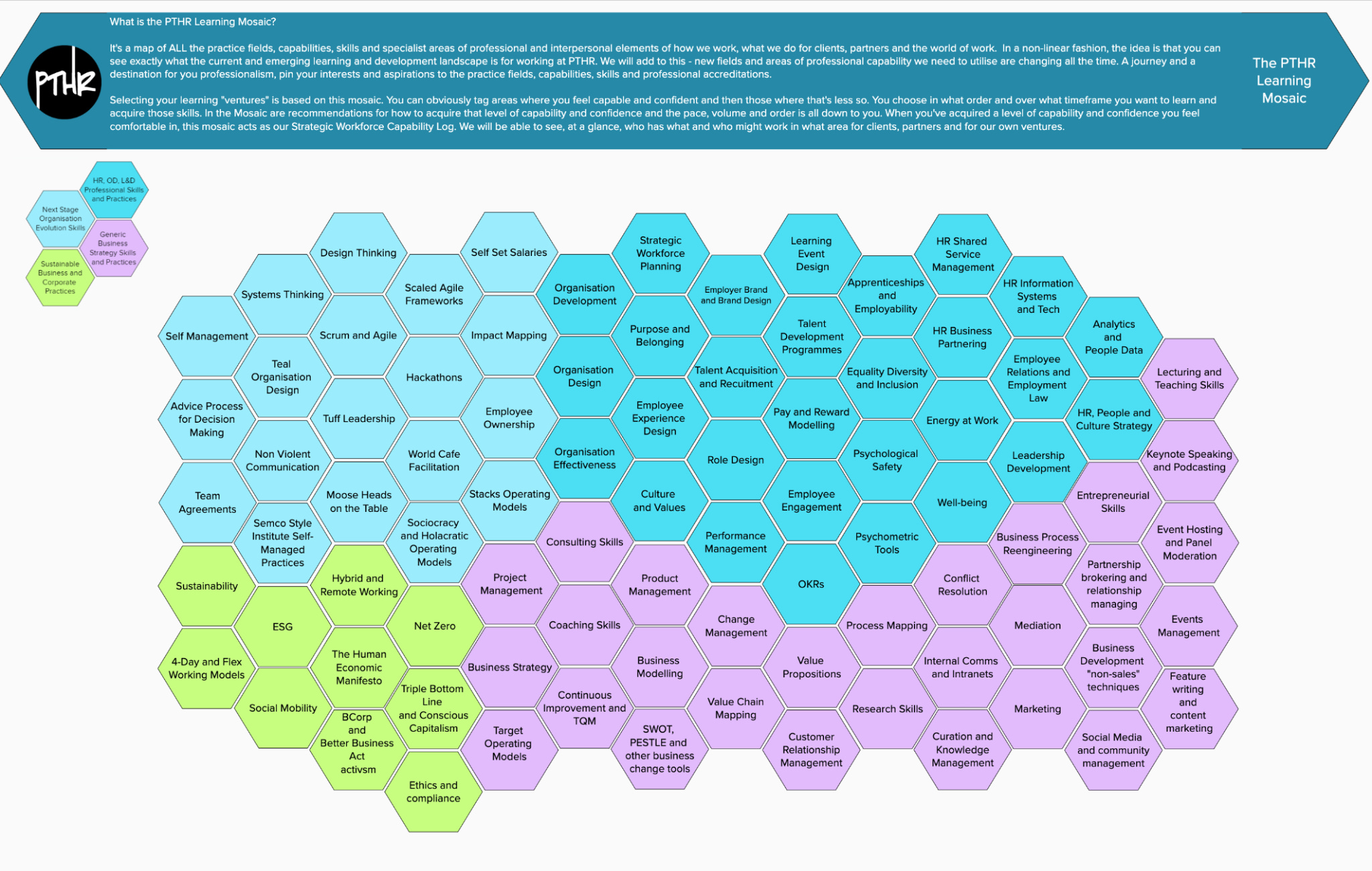 Polymorphic Organisations Part XVI - by Perry Timms