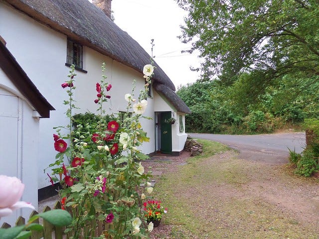 Mum's House Mum's House