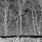 REVIEW: Pile - Sunshine and Balance Beams