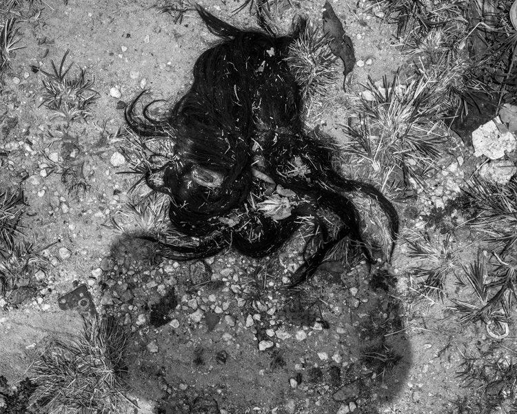  Lost Wig, 2017   