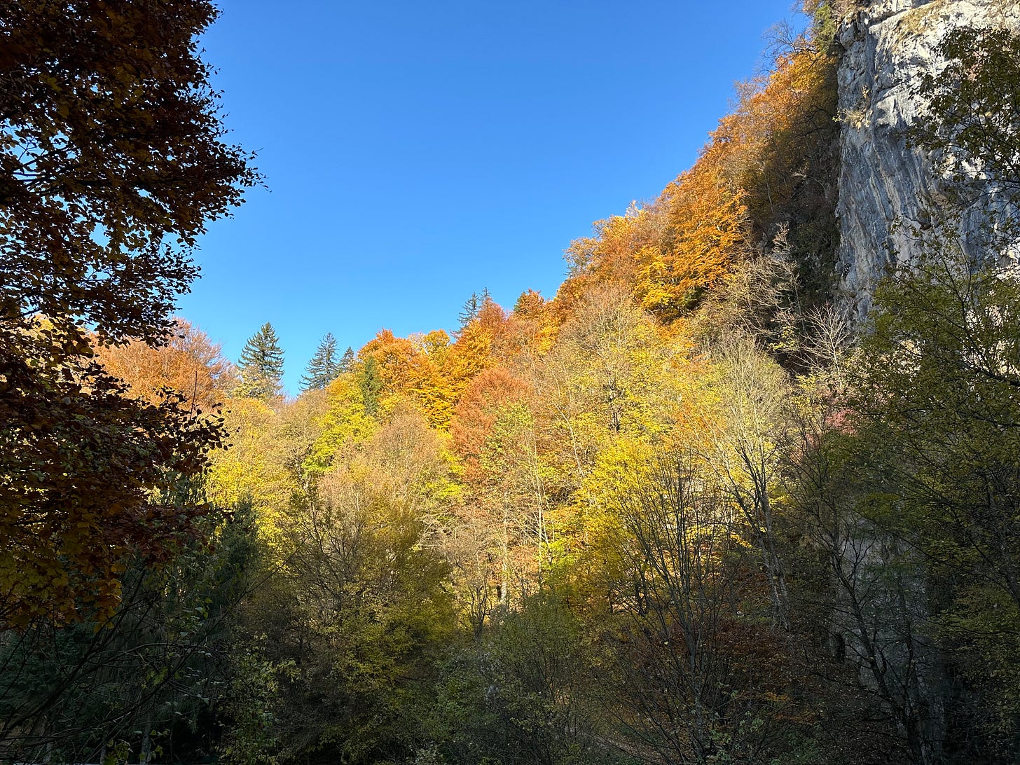  Autumn leaves transform into beautiful works of art