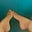 Barefoot Cutie's avatar